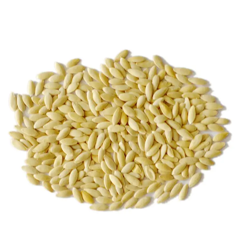 Высококачественные семена фруктового огурца для посадки