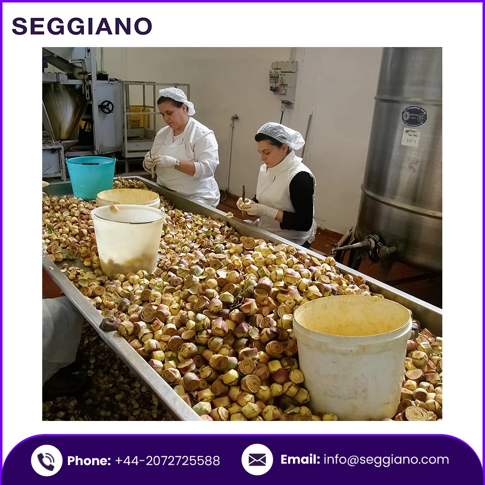 Свежие овощи Seggiano, сицилийские сердца артишока, поставка 290 г