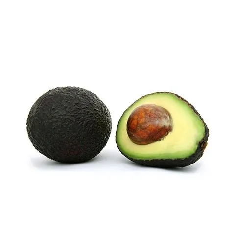 ORGANIC FRESH AVOCADO FRUIT/ HASS AVOCADO FOR SALE