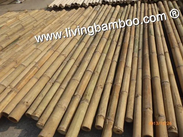 PAINTED BAMBOO POLE - BAMBOO MATERIAL - BAMBOO CONSTRUCTION