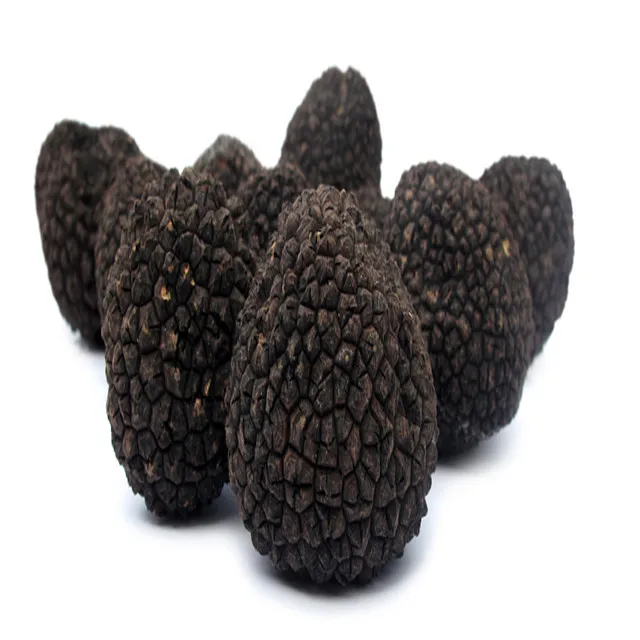 
Fresh Wild Black Truffles - Tuber Tuber uncinatum 