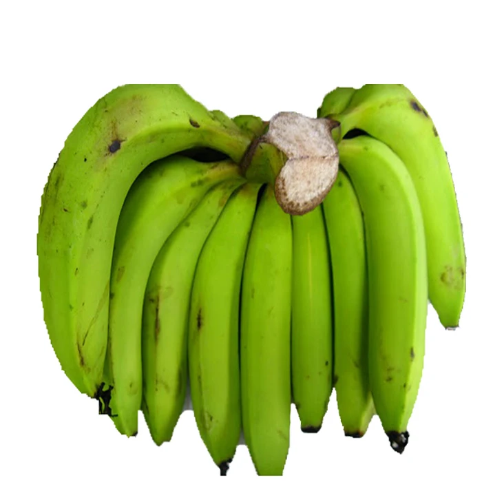 Fresh Green Cavendish Banana With Premium Export Quality