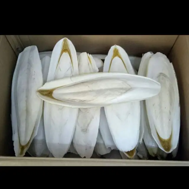 (Хит продаж) Cuttlebone Каракатица сепия кости катля рыбы корм для птиц из Вьетнама