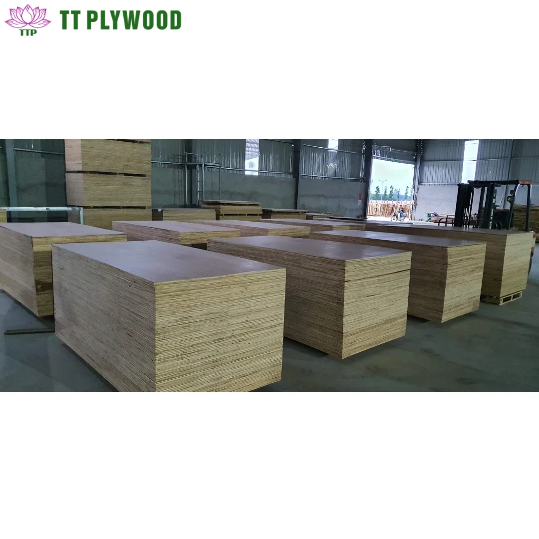 High Quality Industrial 1 Year Warranty Bintangor Okume Commercial Plywood with Double-Sided Decoration