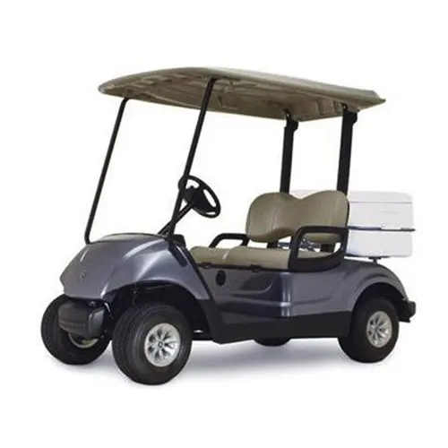 High Quality Affordable 2022 DRIVE2 EFI QUIETECH GOLF CART ELECTRIC MOTOR 2 SEATER