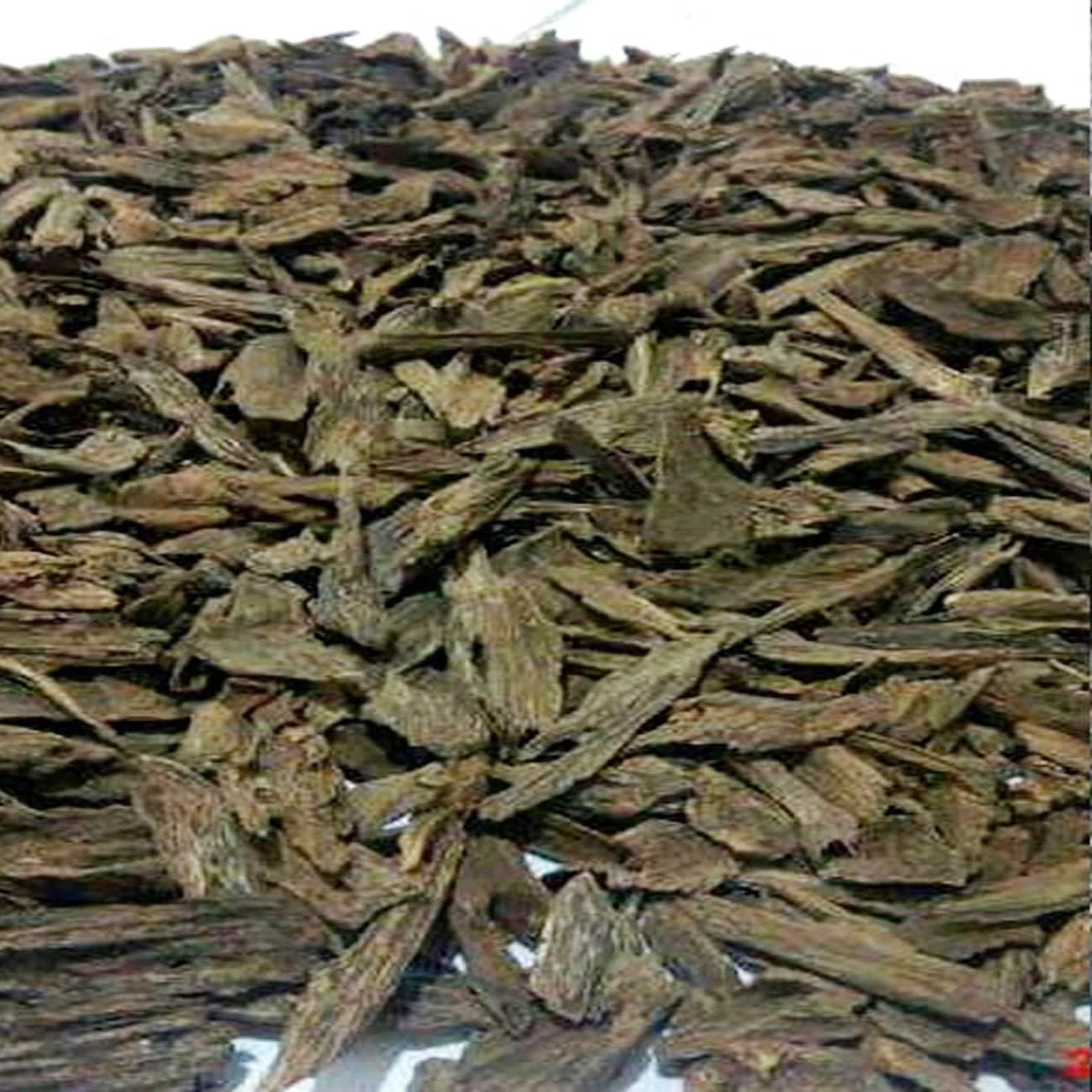Agarwood Sisar