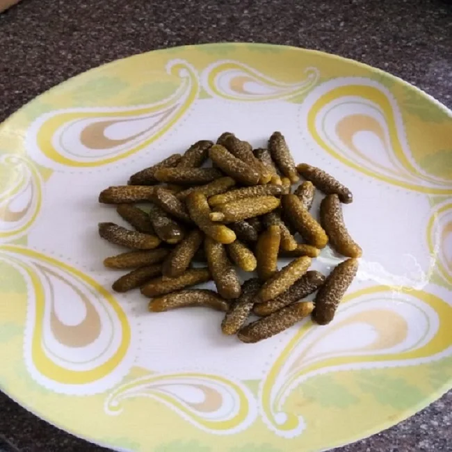 Indian Processed Gherkins in Drum 240 Ltrs/260 Ltrs/ Buckets 15 Kgs  Grade 1-4 CM