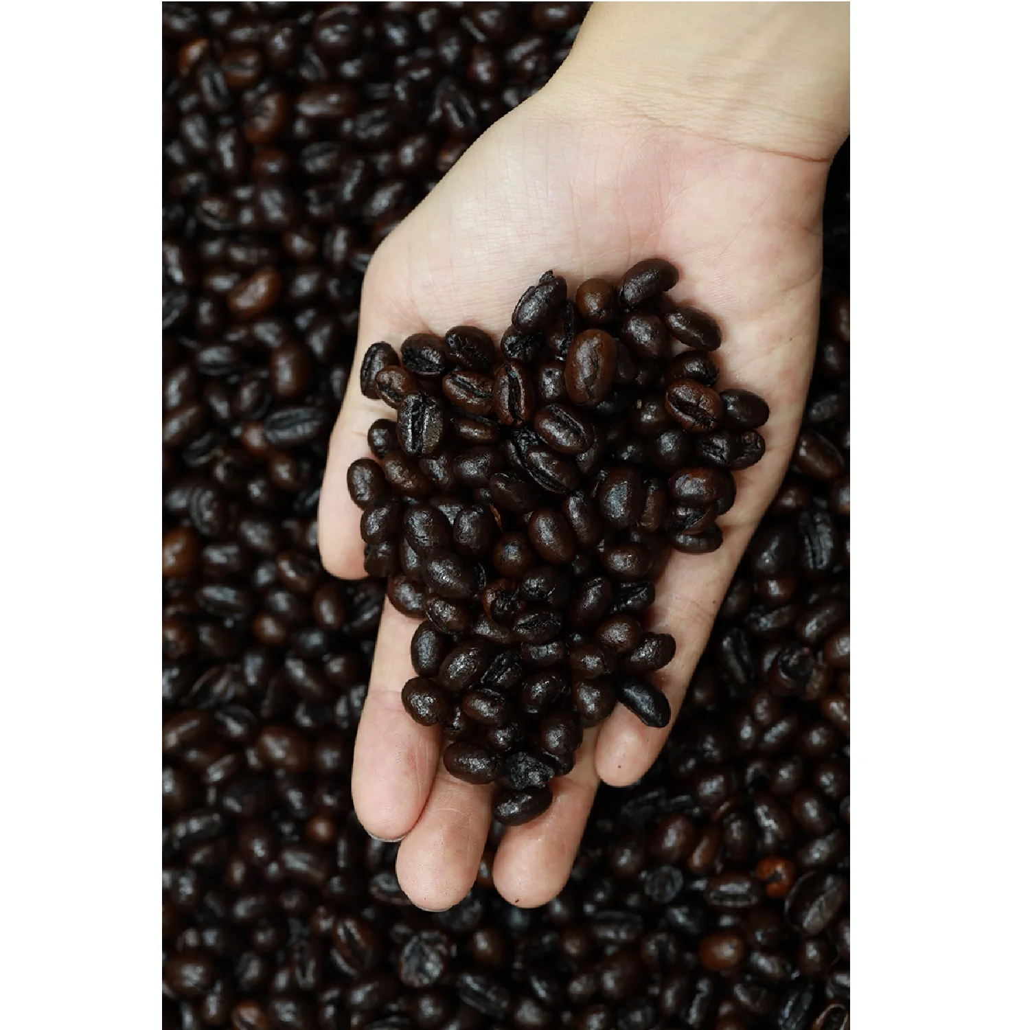 Common Cultivation Type For Bulk Whole Brown Culi Roasted Coffee Beans Additional Butter Lodized Salt Ingredient