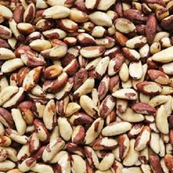 100% Pure Natural High Quality Brazil Nuts Wholesale