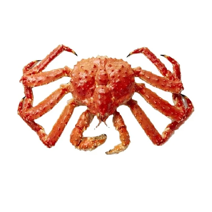 Live and Frozen King Crab, Snow Crab, Crab Horseshoe For Sale