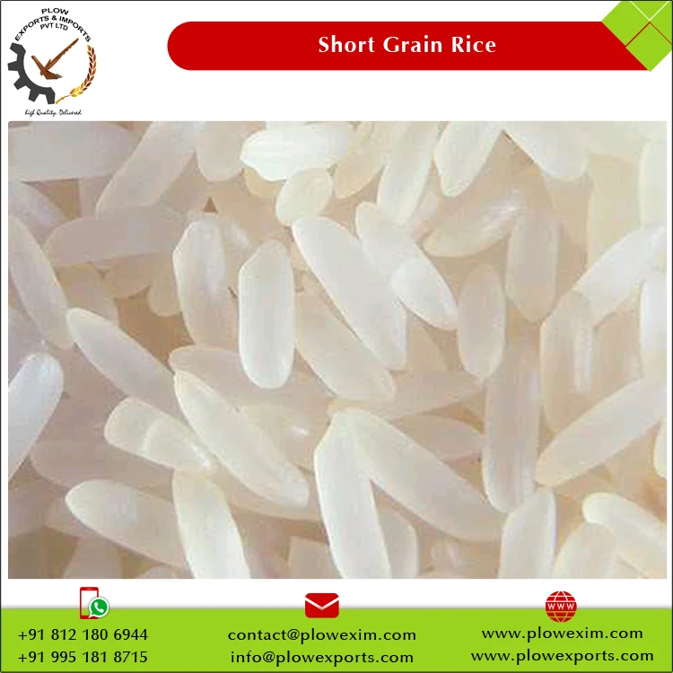 India Manufacture Short Grain Raw Rice Swarna Rice 5% Broken Short Grain Swarna Rice