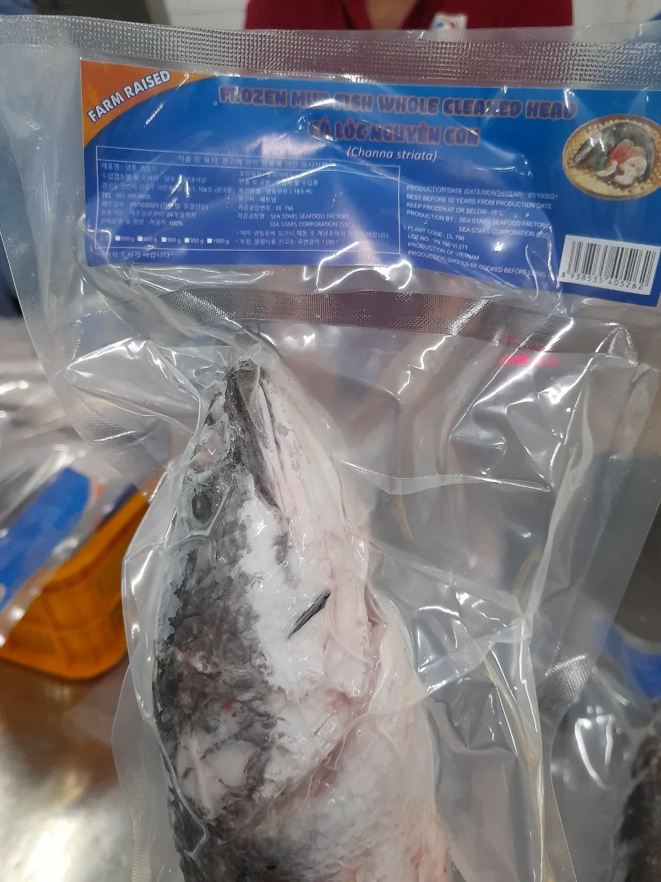 Best Selling Wholesale Frozen Fresh Mud Fish Whole Cleaned Head Channa striata made in Vietnam High Quality Frezze