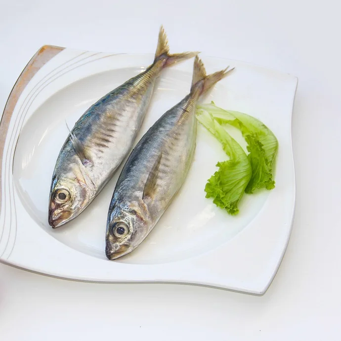 Seafood Supplier High Quality Frozen Seafood Herring Fish