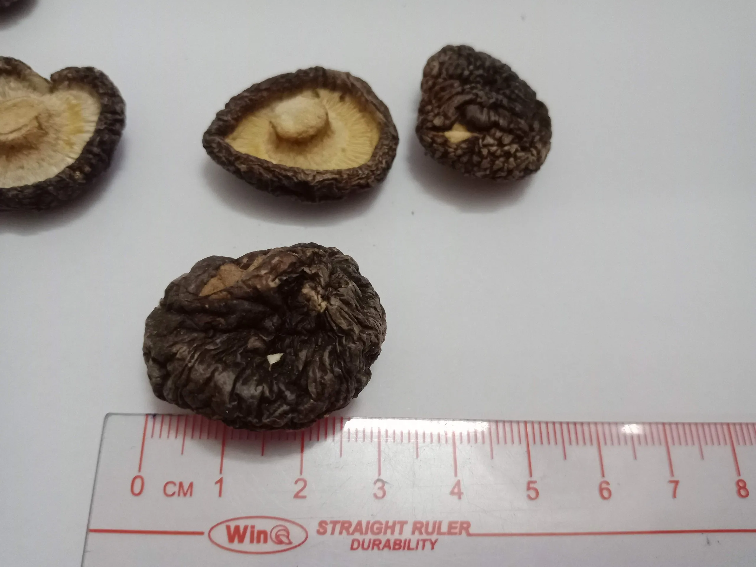 100% Organic High quality dried shiitake mushroom from Vietnam/Ms Kathy +84 896 650