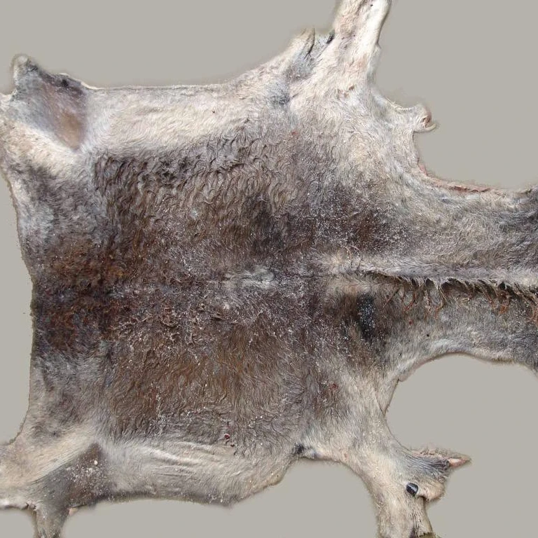 wet salted raw leather