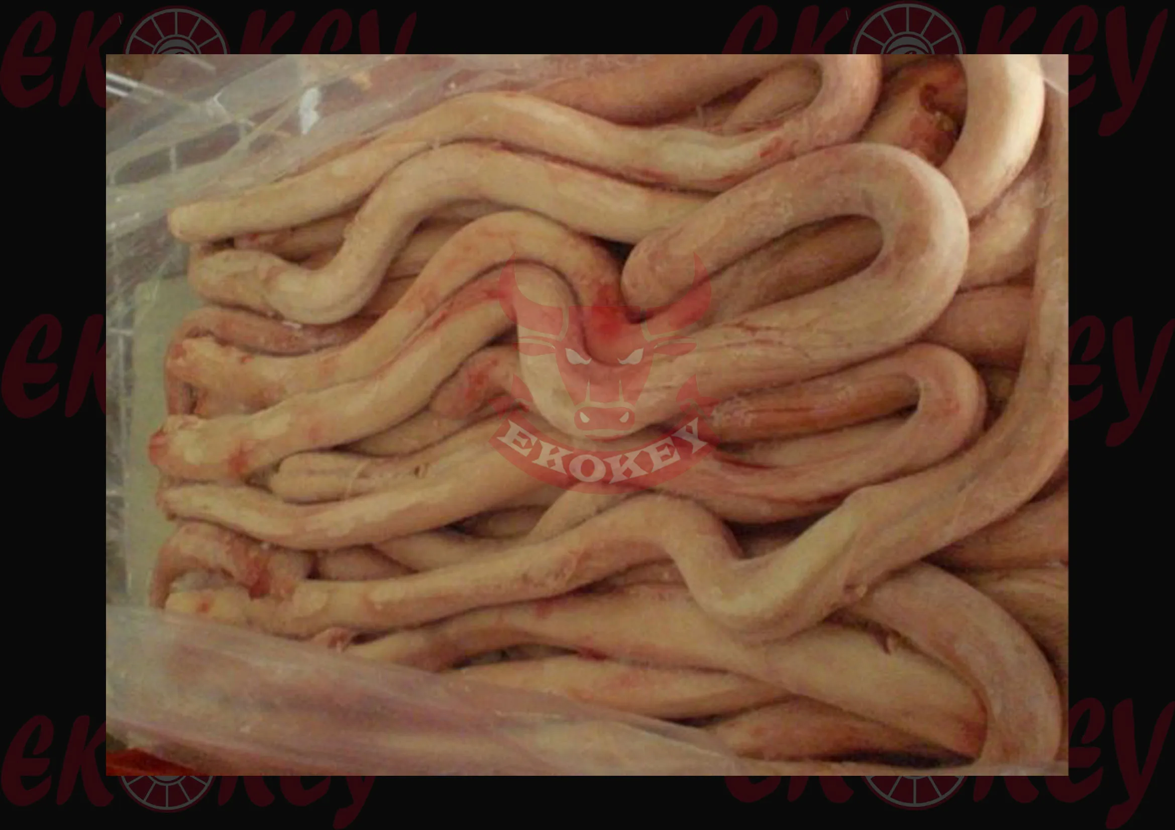 ORGANIC FRESH PROCESSING FROZEN BEEF PIZZLE (PENIS) HIGH QUALITY ORIGIN MONTENEGRO
