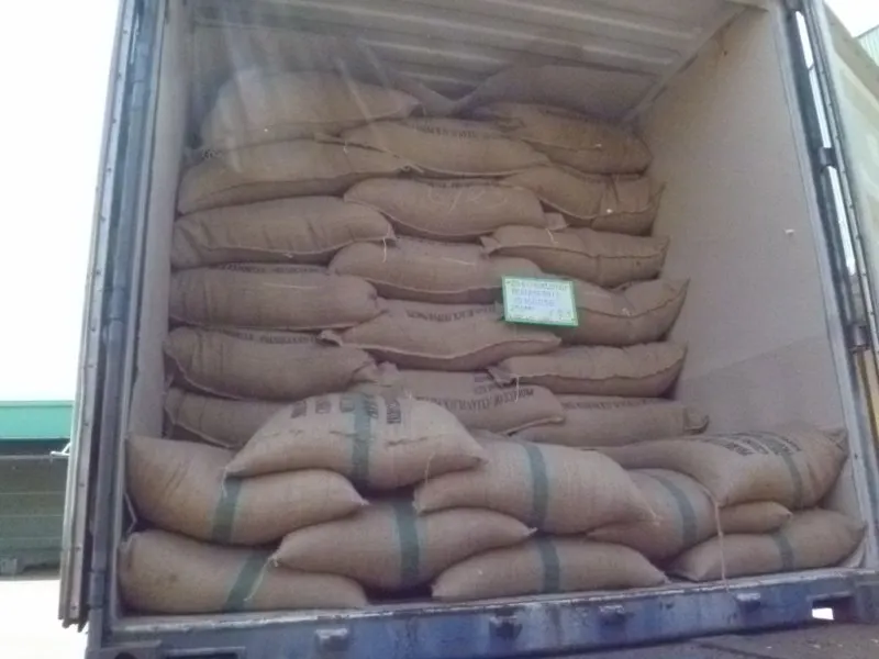  Вьетнамские моющиеся зеленые кофейные зерна ARABICA класса 1.