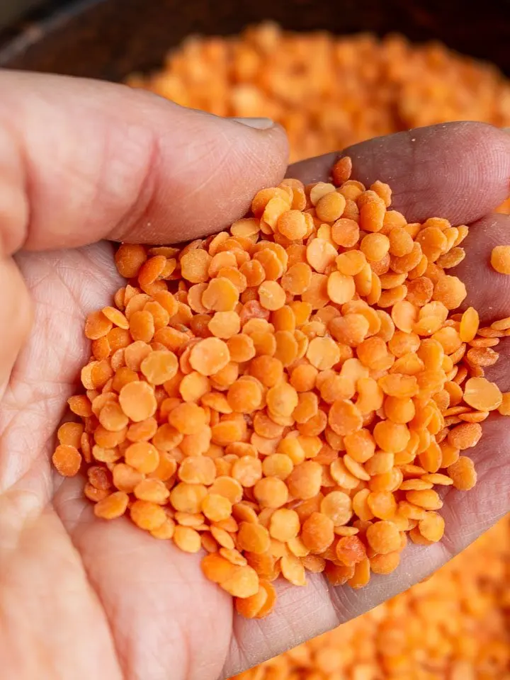 Wholesale Best Quality Whole And Split Red Lentils For Sale In Cheap Price