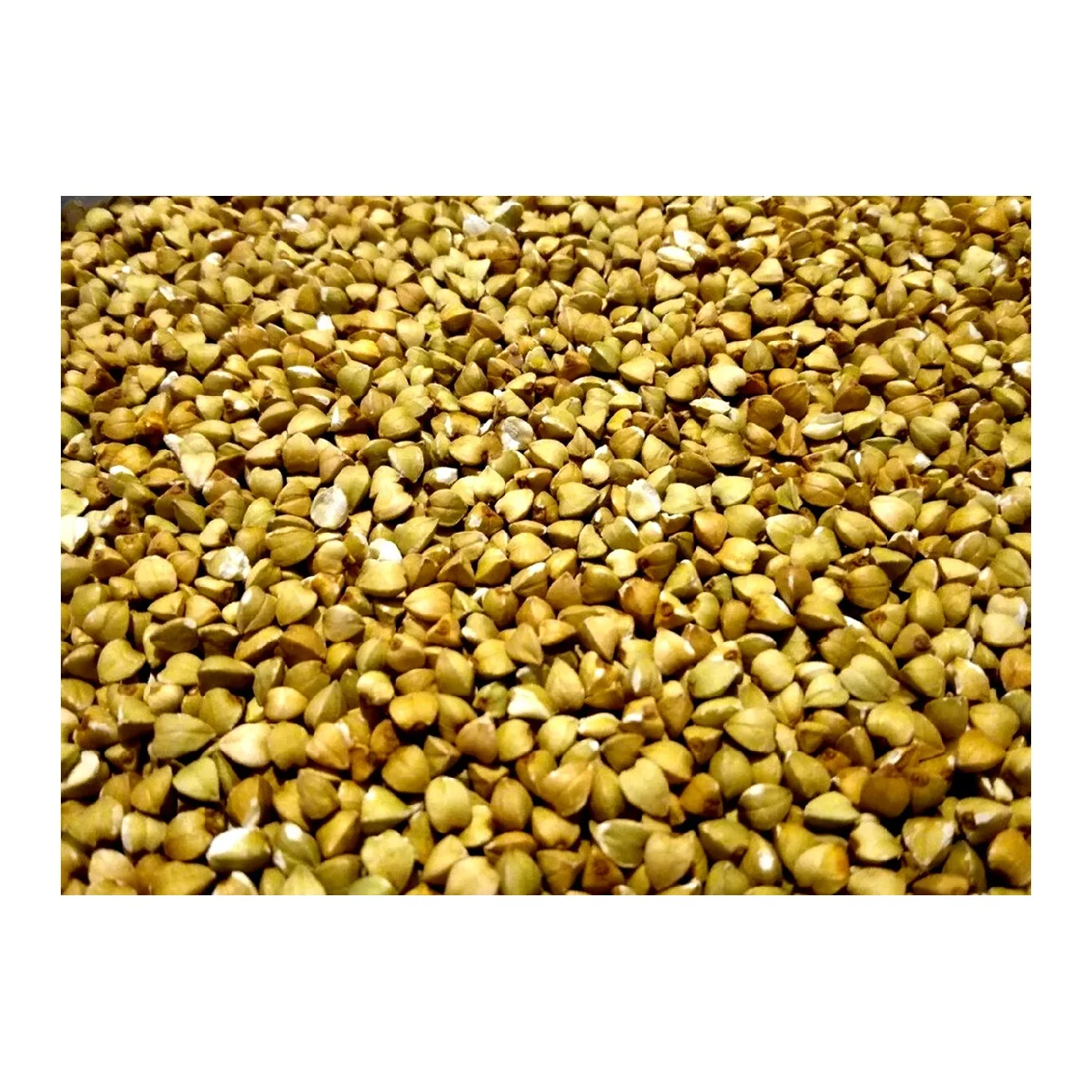 
Wholesale buckwheat groats from reliable supplier 