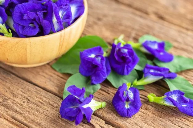 100% Natural Dried Butterfly Pea Flower Premium Grade Organic Private Label OEM Product from Thailand
