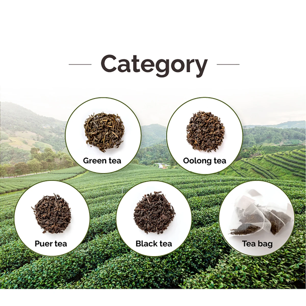 Factory Supply Tea Bag For Blueberry Black Tea for Milk Tea