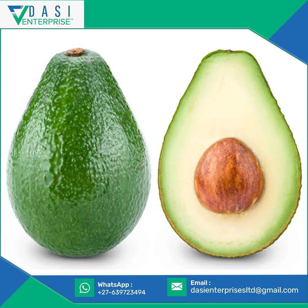 2021 New Drop Shipping Of Natural Matured Grown Avocado Of Best Quality At Low Market Price