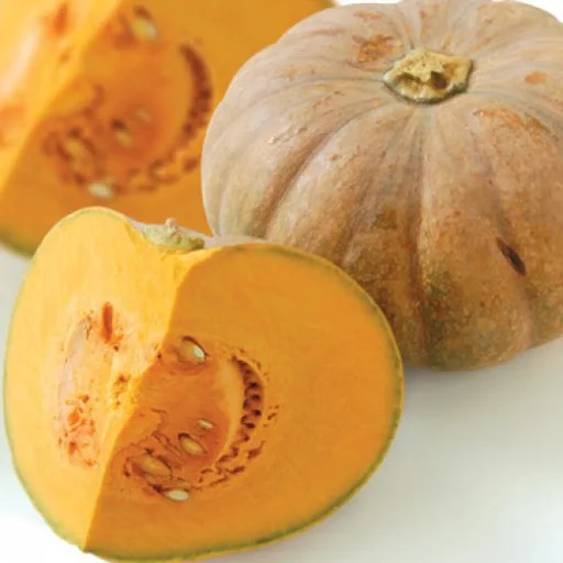 100% Export Oriented Best Quality Fresh Sweet Pumpkin From Vietnam