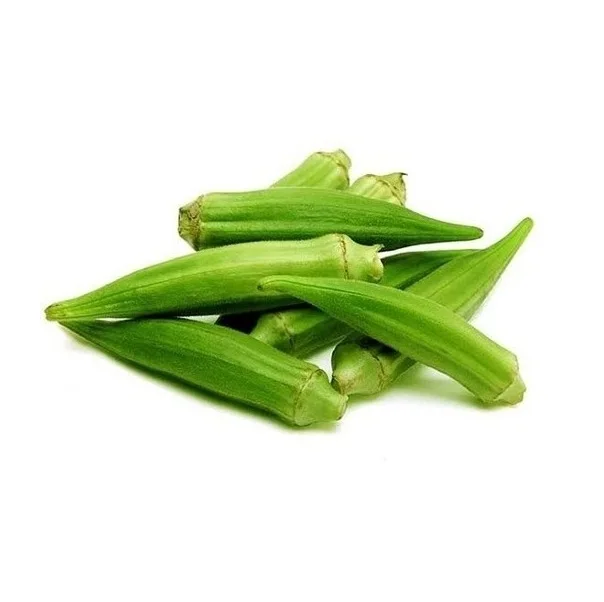 Wholesale Dealer Of Cheapest Price Fresh Vegetables Okra