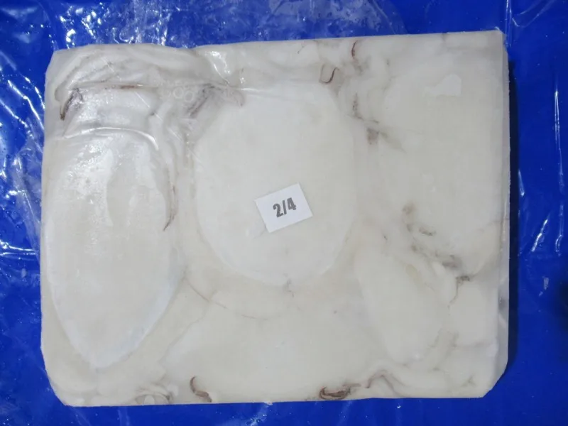 Block frozen Cuttlefish cleaned from India, top quality