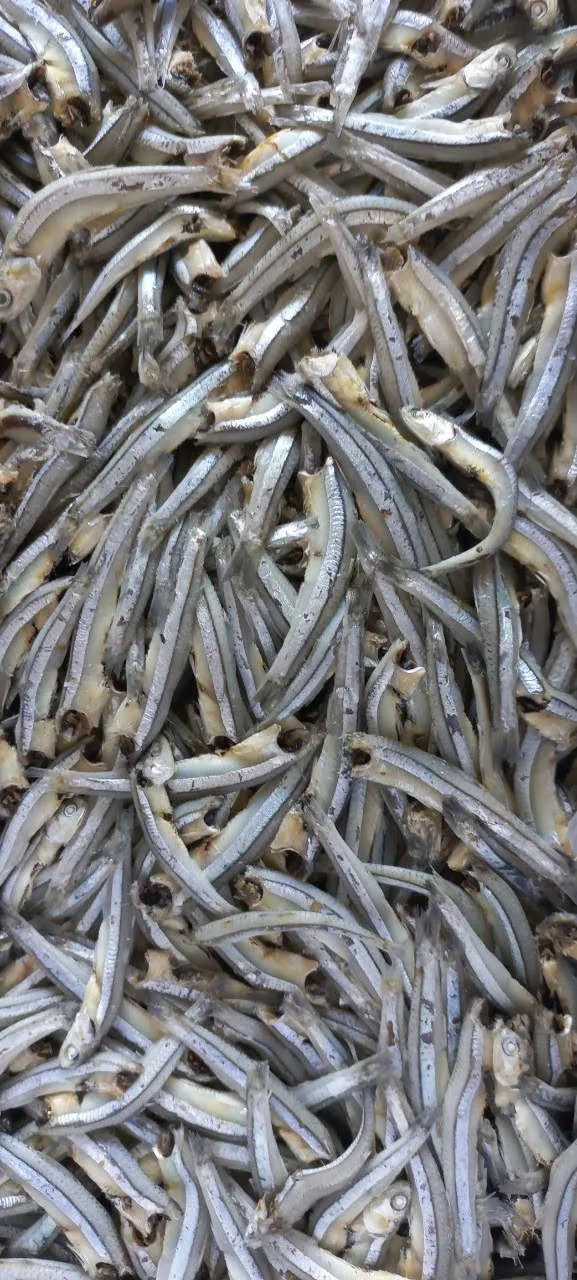 Vietnam dried anchovy with best quality seafood direct good price-  WHATSAP: 0084 989 322 607