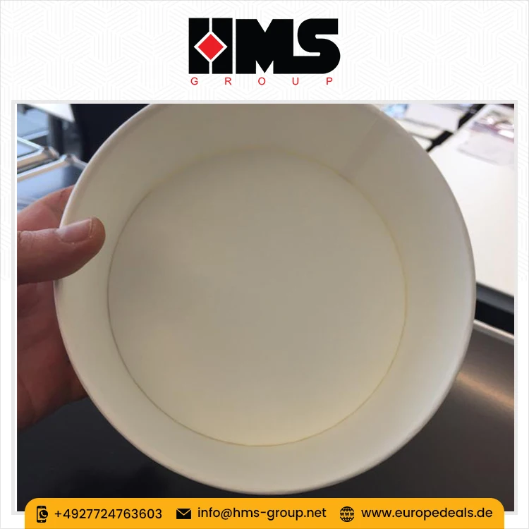 Смешивание и сервировка декоративной одноразовой салатницы