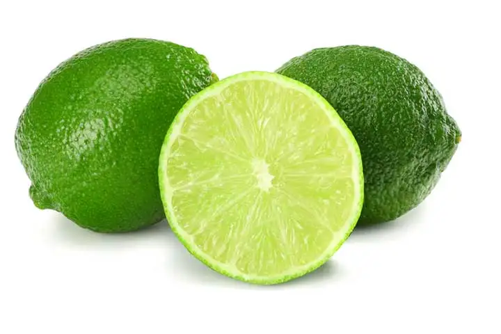 Fresh Green Seedless Lime And Lemons From Vietnam For Export Top Wholesale