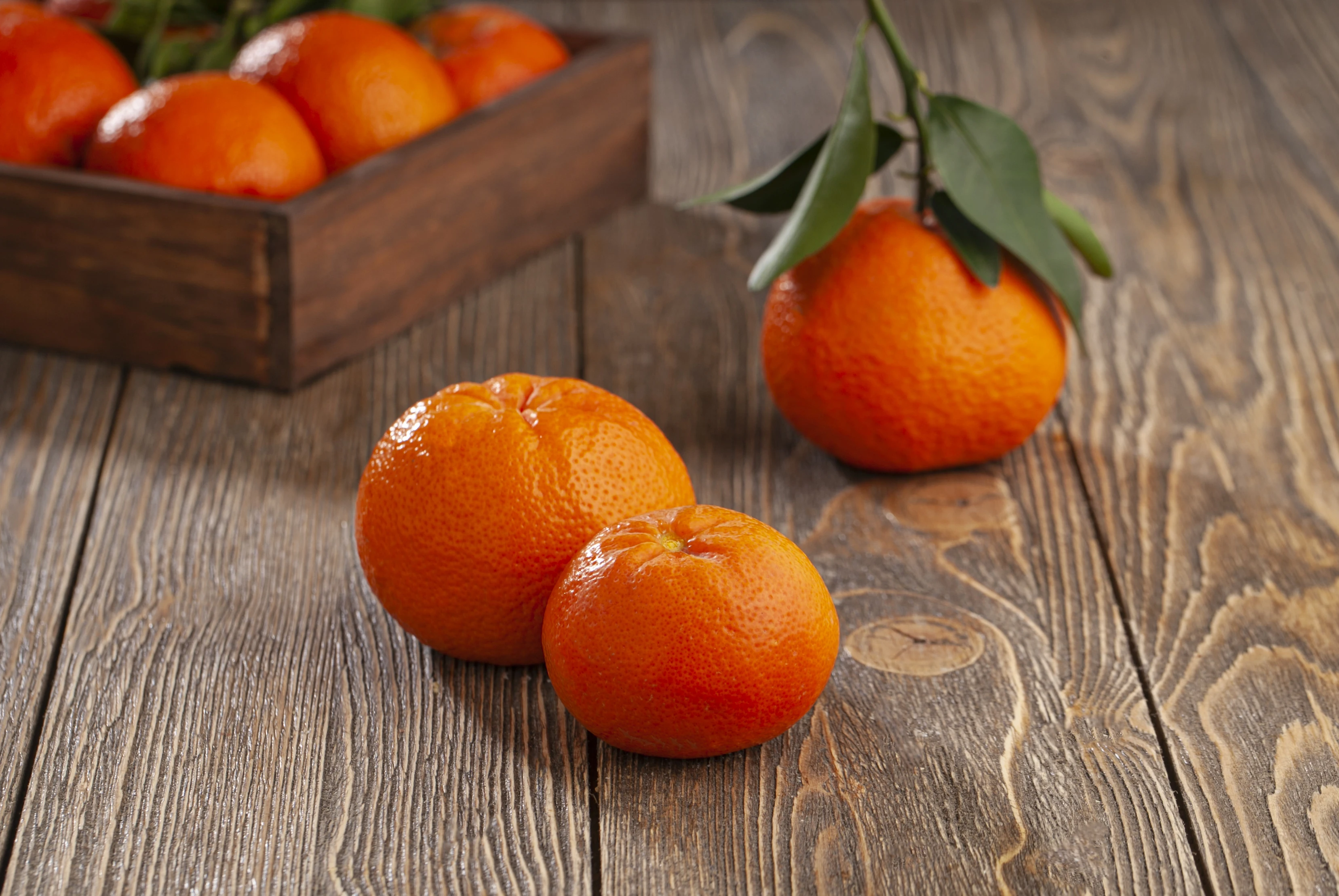 New Crop %100 Organic Mandarin Big Mandarine Premium Quality Fresh Mandarin - Made in Turkey