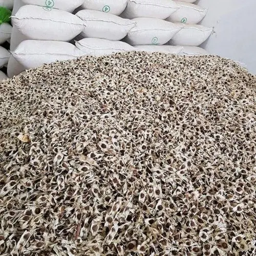 100% Moringa dry leaf Extract oleifera powder seed oil 0.20% Alkaloids by GV USP EU Grade ISO 22000