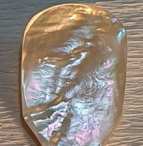 Коллекция красивых небольших ложек из белого жемчуга для косметического использования или дегустации икры предоставленной Vietcrafts