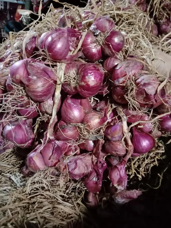  Новый Урожай шалотов лук размер 30 - 50 мм круглый из Вьетнама-МС Софи + 84 901 022 641