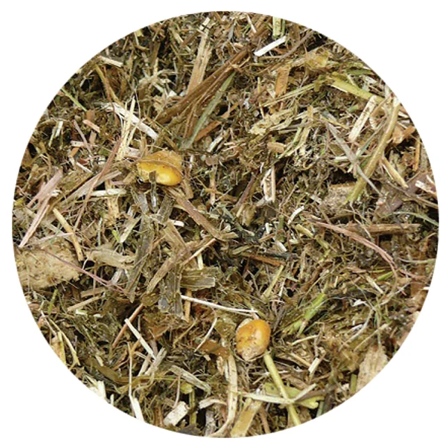 
HOT SALES CORN SILAGE ANIMAL FEED CONCENTRATE ORIGIN VIET NAM CHEAP PRICE AND HIGH QUALITY/ CORN SILAGE ORGANIC 