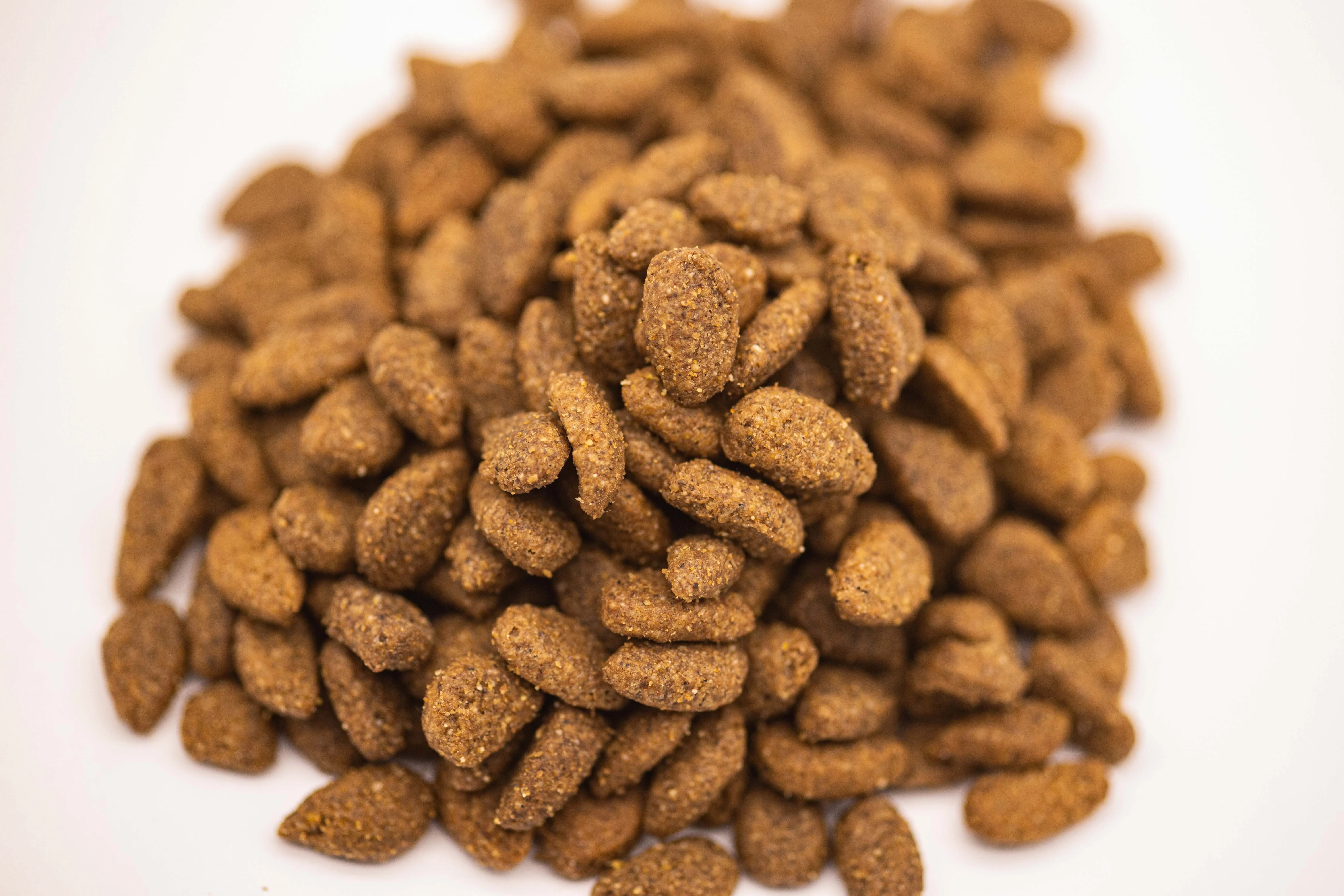 Wholesale Monoprotein Grain Free Dog Food Kibble for Small Size Adult Dogs Needs
