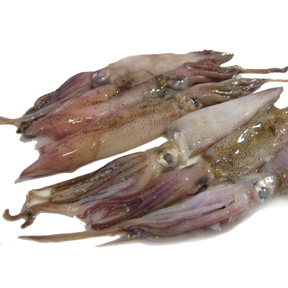 Manufacturers wholesale frozen seasoned squid Ika Sansai high quality squid Top Seafood Supplier Frozen Pacific Calamari Illex S