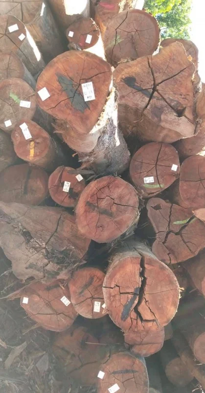 Good Quality Merbau Solid Hardwood Wood Supplier From Malaysia