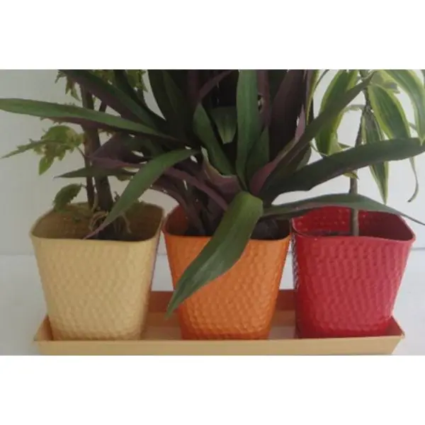 Reasonable Price Herb Pot Sets High Durability Round Herb Pot Sets Factory Supply Decorative Flower Pot Premium Grade