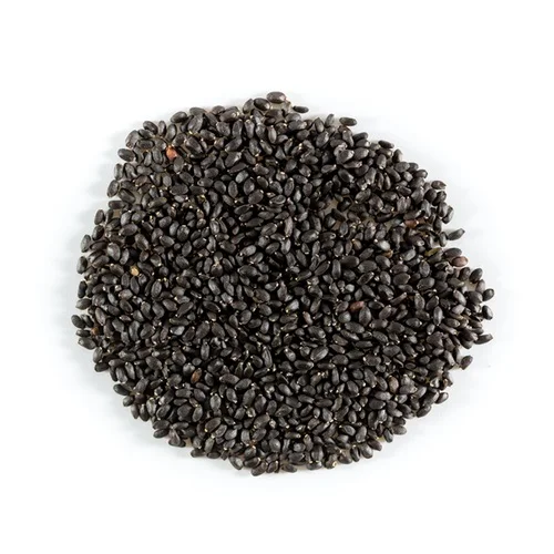 Organic Basil Seeds Premium Grade