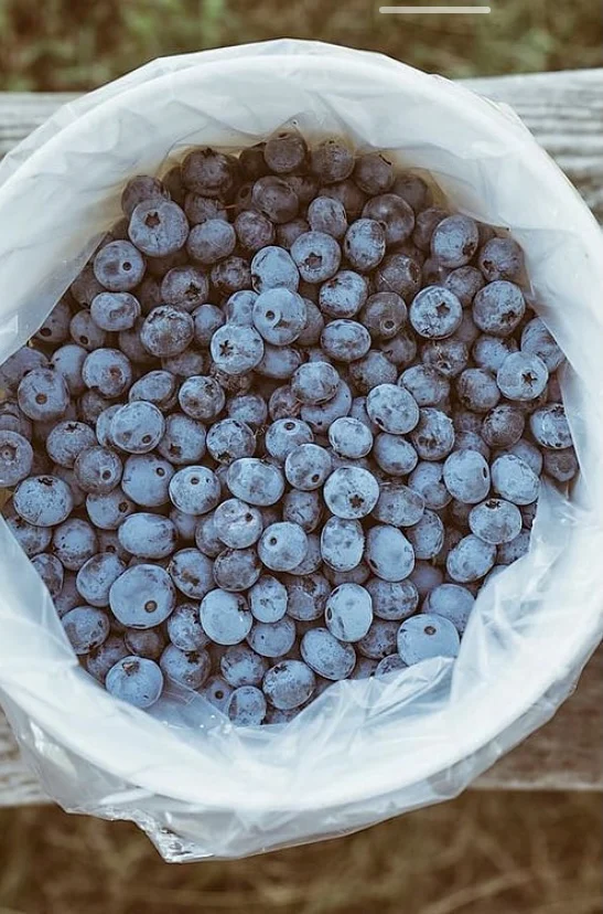 GHRFR (21) - Copy.jpg