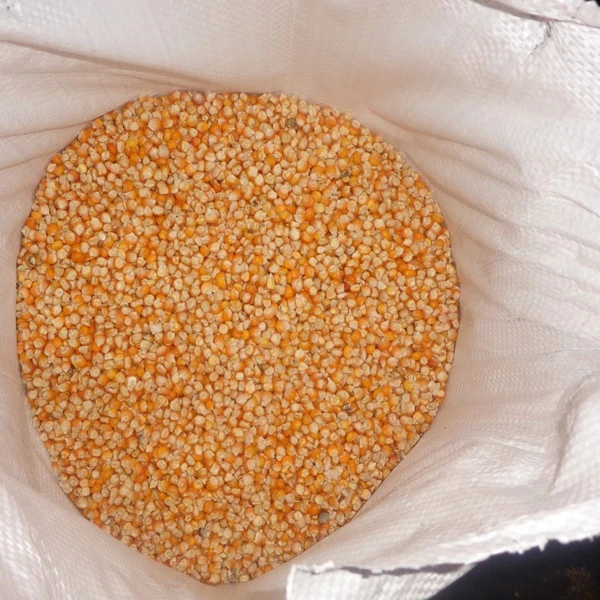 Yellow/White Corn, Maize, Grain, Wheat