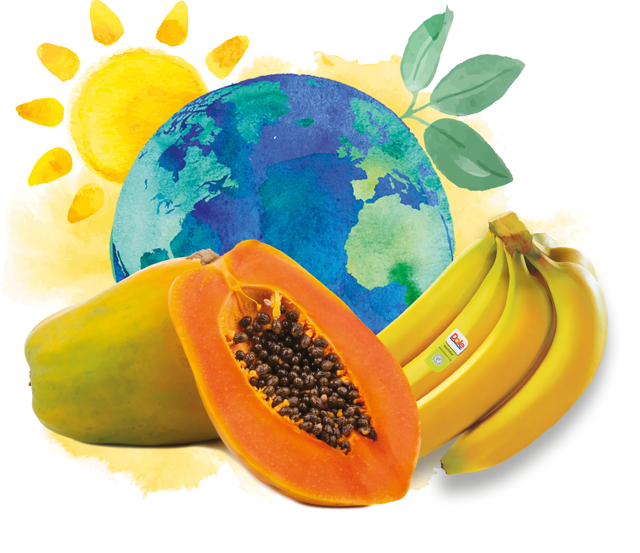 100% Natural Cold Pressed Wholesale Supply Bulk Papaya Seed Oil Essential Oils Cosmetics High Quality Top Grade