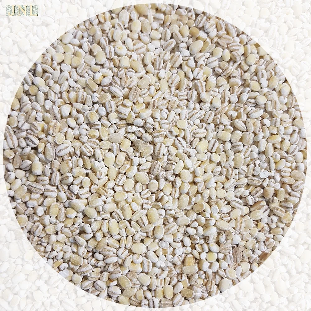 
Pearl barley grain bulk 