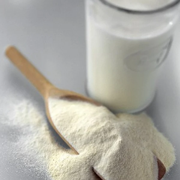 Wholesale High Quality Camel Milk Powder