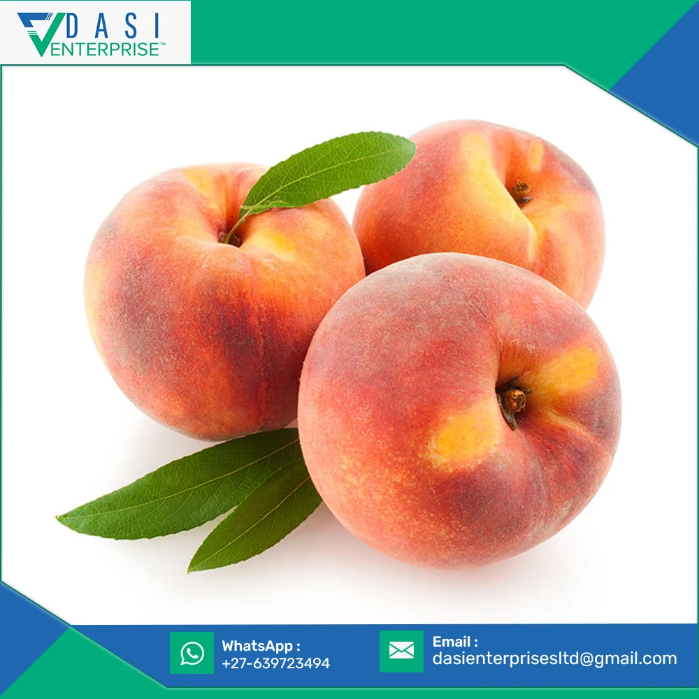 Original Rich Quality 100% Maturity Sweet Taste Fresh Pink Peaches For Sale At Bulk