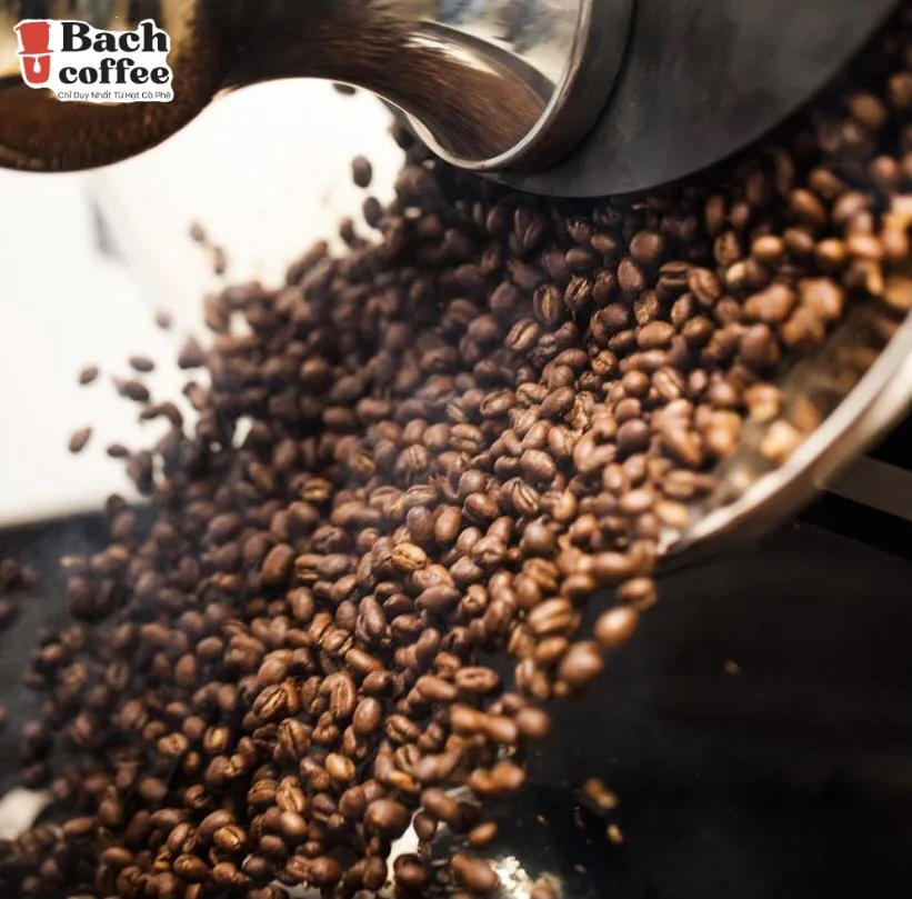 
100% Peaberry Coffee Beans / Light- Medium Roast -Fresh Roasted Coffee / Direct-trade / Hand- Picked and Small Batch. 