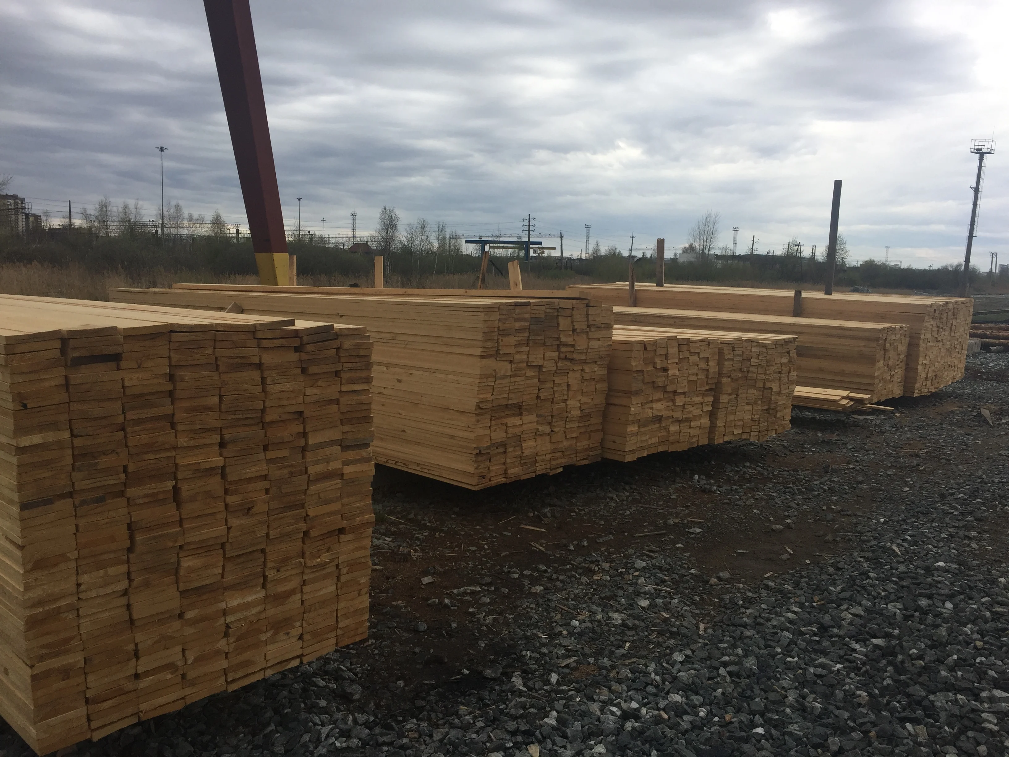 Pine Birch Aspen Lumber Wood Timber